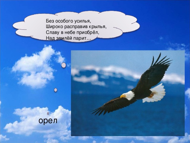 Без особого усилья,  Широко расправив крылья,  Славу в небе приобрёл,  Над землёй парит… орел