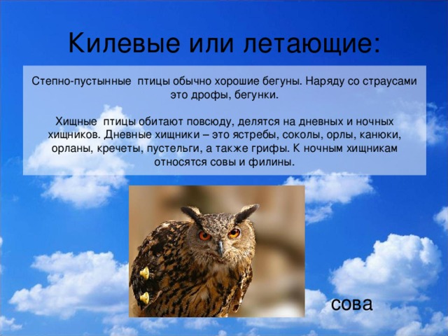 Килевые или летающие: Степно-пустынные птицы обычно хорошие бегуны. Наряду со страусами это дрофы, бегунки.   Хищные птицы обитают повсюду, делятся на дневных и ночных хищников. Дневные хищники – это ястребы, соколы, орлы, канюки, орланы, кречеты, пустельги, а также грифы. К ночным хищникам относятся совы и филины. сова