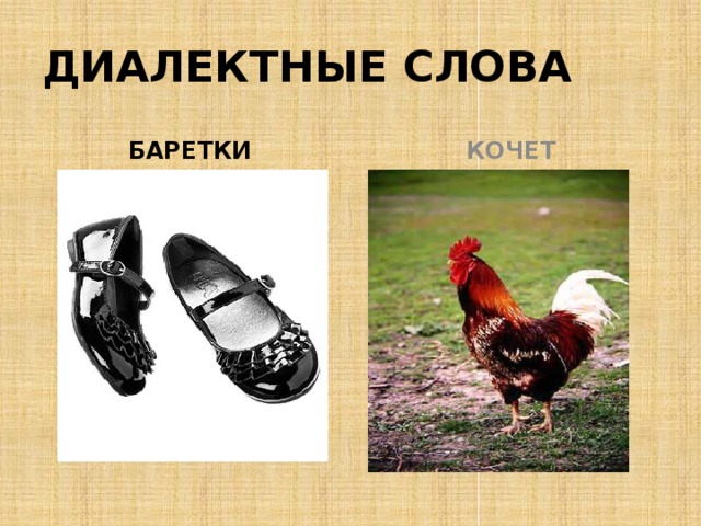 ДИАЛЕКТНЫЕ СЛОВА БАРЕТКИ КОЧЕТ  