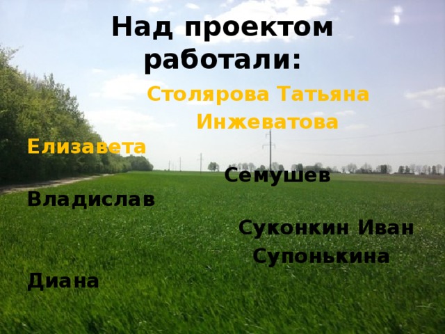 Над проектом работали:  Столярова Татьяна  Инжеватова Елизавета  Семушев Владислав  Суконкин Иван  Супонькина Диана  