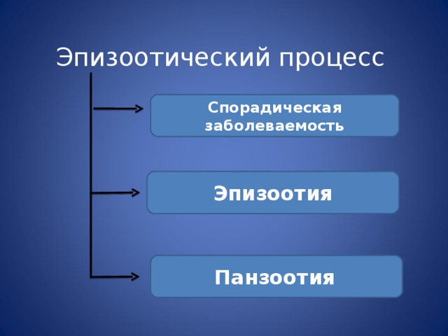 3 обязательные части