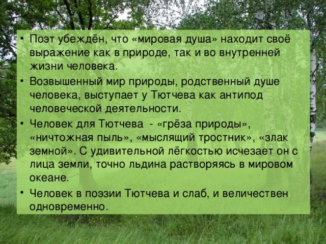 Тема родной природы в лирике тютчева