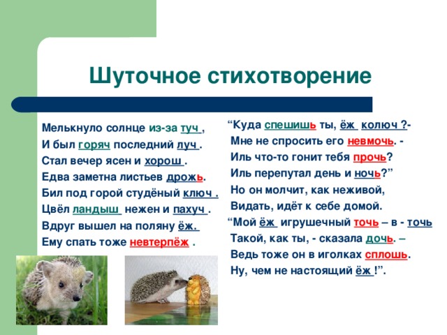 “ Куда спешиш ь ты, ёж  колюч ? -  Мне не спросить его невмочь . -  Иль что-то гонит тебя прочь ?  Иль перепутал день и ноч ь ?”  Но он молчит, как неживой,  Видать, идёт к себе домой. “ Мой ёж игрушечный точь – в - точь  Такой, как ты, - сказала доч ь . –  Ведь тоже он в иголках сплошь .  Ну, чем не настоящий ёж !”.  Мелькнуло солнце из-за туч  , И был  горяч  последний луч . Стал вечер ясен и хорош . Едва заметна листьев дрож ь . Бил под горой студёный ключ . Цвёл ландыш  нежен и пахуч . Вдруг вышел на поляну ёж. Ему спать тоже невтерпёж .