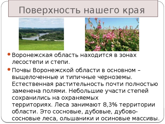 Наш край 4 класс плешаков. Основные сведения о почвах Воронежского края. Основные сведения о поверхности Воронежского края. Сведения о почве Воронежского края. Основные сведения о поверхности Воронежского края 4.