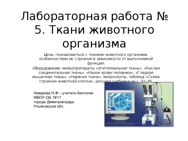 Лабораторная по биологии 6 класс ткани. Соединительная ткань лабораторная работа. Лабораторная работа ткани. Лабораторная работа ткани животных. Лабораторная работа ткани животного организма.