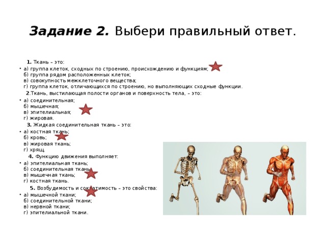 Задание 2. Выбери правильный ответ.  1. Ткань – это: а) группа клеток, сходных по строению, происхождению и функциям;  б) группа рядом расположенных клеток;  в) совокупность межклеточного вещества;  г) группа клеток, отличающихся по строению, но выполняющих сходные функции.  2 .Ткань, выстилающая полости органов и поверхность тела, – это: а) соединительная;  б) мышечная;  в) эпителиальная;  г) жировая.  3. Жидкая соединительная ткань – это: а) костная ткань;  б) кровь;  в) жировая ткань;  г) хрящ.  4. Функцию движения выполняет: а) эпителиальная ткань;  б) соединительная ткань;  в) мышечная ткань;  г) костная ткань.  5. Возбудимость и сократимость – это свойства: а) мышечной ткани;  б) соединительной ткани;  в) нервной ткани;  г) эпителиальной ткани. 