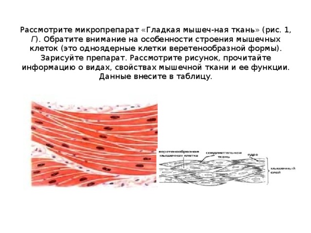 Схема строения мышьяка