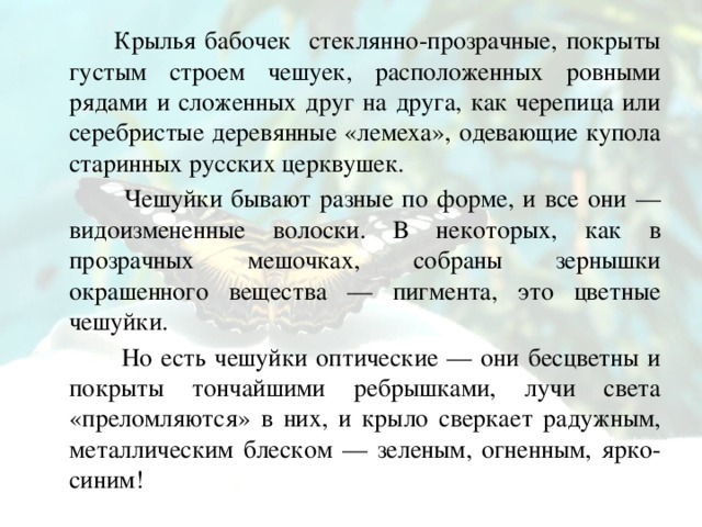 Крылья бабочек стеклянно-прозрачные, покрыты густым строем чешуек, расположенных ровными рядами и сложенных друг на друга, как черепица или серебристые деревянные «лемеха», одевающие купола старинных русских церквушек.  Чешуйки бывают разные по форме, и все они — видоизмененные волоски. В некоторых, как в прозрачных мешочках, собраны зернышки окрашенного вещества — пигмента, это цветные чешуйки.  Но есть чешуйки оптические — они бесцветны и покрыты тончайшими ребрышками, лучи света «преломляются» в них, и крыло сверкает радужным, металлическим блеском — зеленым, огненным, ярко-синим!