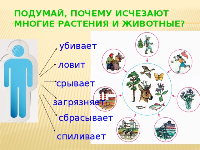 Будь природе другом 2 класс. Окружающий мир будь природе другом. Будь природе другом 2 класс окружающий. Будь природе другом презентация окружающий мир. Друзья природы окружающий мир 2 класс.