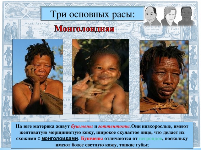 Три основных расы: На юге материка живут  бушмены  и  готтентоты . Они низкорослые, имеют желтоватую морщинистую кожу, широкое скуластое лицо, что делает их схожими с  монголоидами . Бушмены отличаются от  негроидов , поскольку имеют более светлую кожу, тонкие губы; 