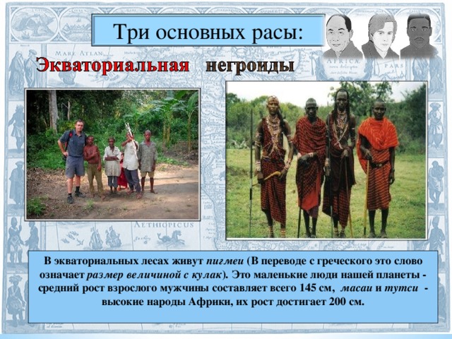 Три основных расы: В экваториальных лесах живут  пигмеи  (В переводе с греческого это слово означает  размер   величиной с кулак ). Это маленькие люди нашей планеты - средний рост взрослого мужчины составляет всего 145 см,   масаи  и  тутси   - высокие народы Африки, их рост достигает 200 см.   