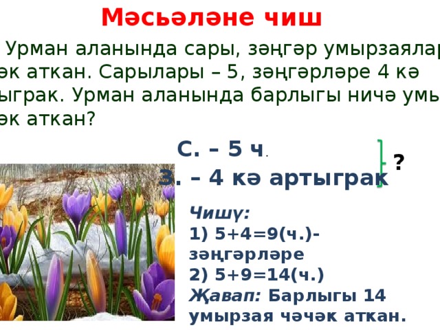 Мәсьәләне чиш  Урман аланында сары, зәңгәр умырзаялар чәчәк аткан. Сарылары – 5, зәңгәрләре 4 кә артыграк. Урман аланында барлыгы ничә умырзая чәчәк аткан? С. – 5 ч . ? З. – 4 кә артыграк Чишү: 1) 5+4=9(ч.)- зәңгәрләре 2) 5+9=14(ч.) Җавап: Барлыгы 14 умырзая чәчәк аткан. 