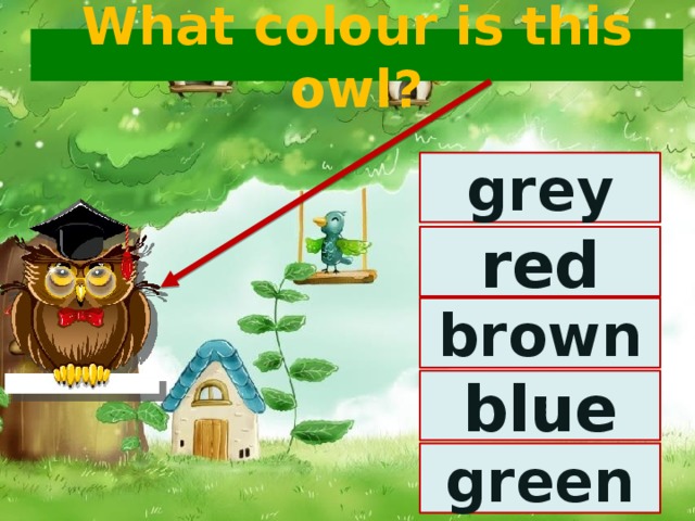 What colour is this owl? grey red brown blue green 