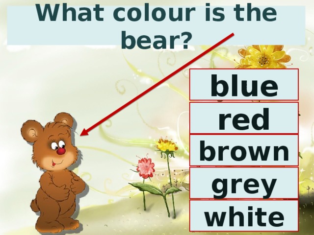 What colour is the bear? blue red brown grey white 