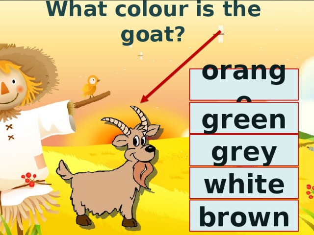 What colour is the goat? orange green grey white brown 