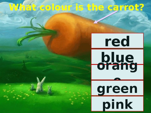 What colour is the carrot? red blue orange green pink 