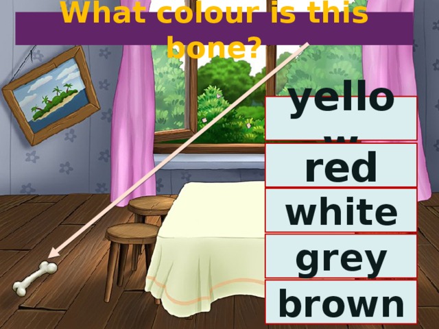 What colour is this bone? yellow red white grey brown 