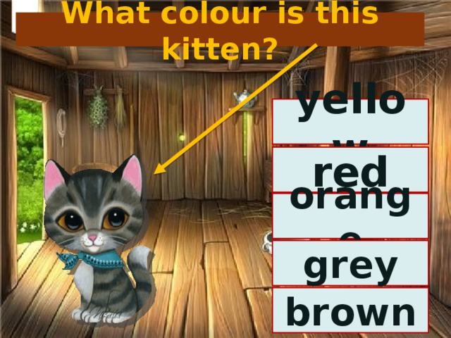 What colour is this kitten? yellow red orange grey brown 