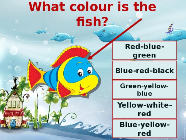 What colour is the fish? Red-blue-green Blue-red-black Green-yellow-blue Yellow-white-red Blue-yellow-red 