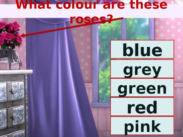 What colour are these roses? blue grey green red pink 