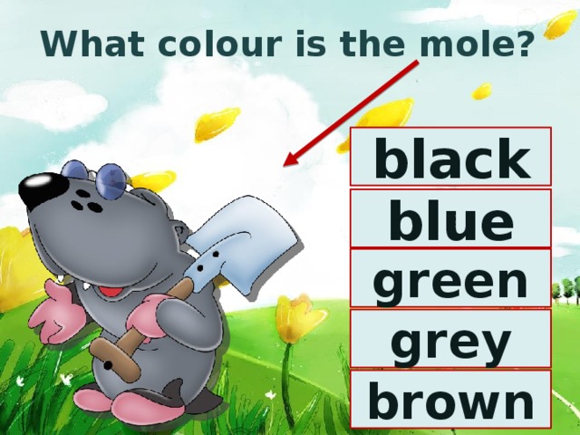 What colour is the mole? black blue green grey brown 
