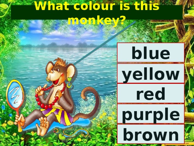 What colour is this monkey? blue yellow red purple brown 