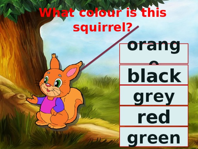 What colour is this squirrel? orange black grey red green 
