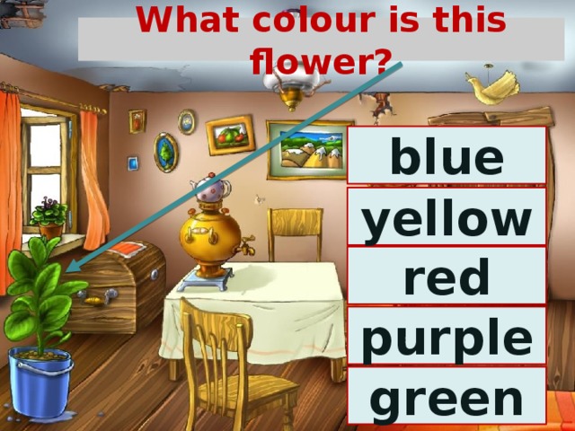 What colour is this flower? blue yellow red purple green 