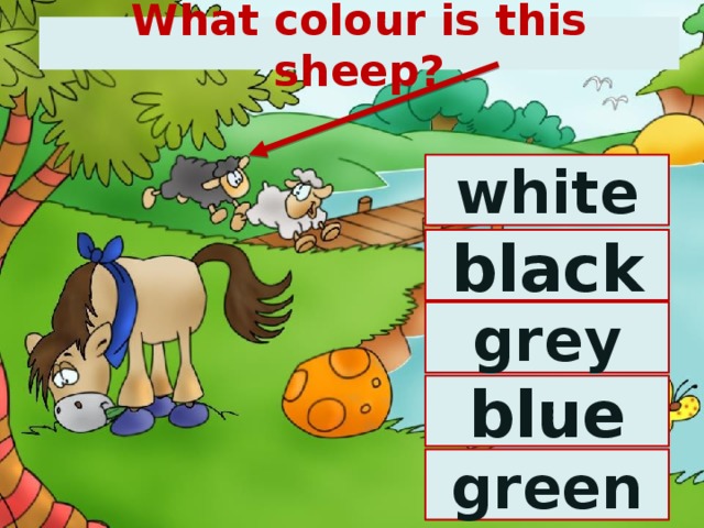 What colour is this sheep? white black grey blue green 