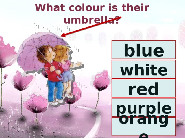 What colour is their umbrella? blue white red purple orange 