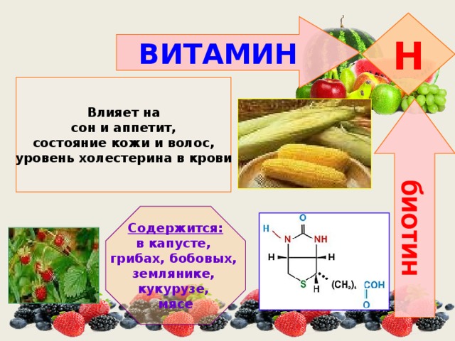 Витамин h презентация