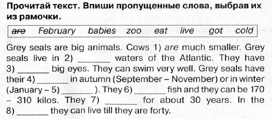 Прочитай впиши пропущенные. Grey Seals are big animals. Grey Seals are big animals Cows are much smaller. Прочитай текст впиши пропущенные слова выбрав его из рамочки.