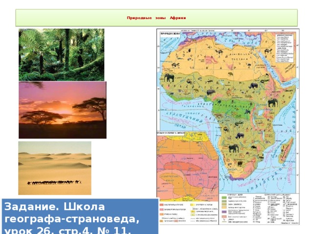  Природные зоны Африки   Задание. Школа географа-страноведа, урок 26, стр.4, № 11. 