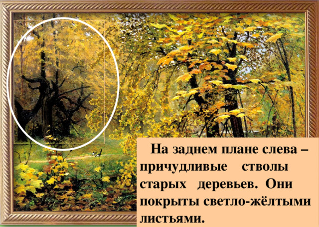  На заднем плане слева – причудливые стволы старых деревьев. Они покрыты светло-жёлтыми листьями.  