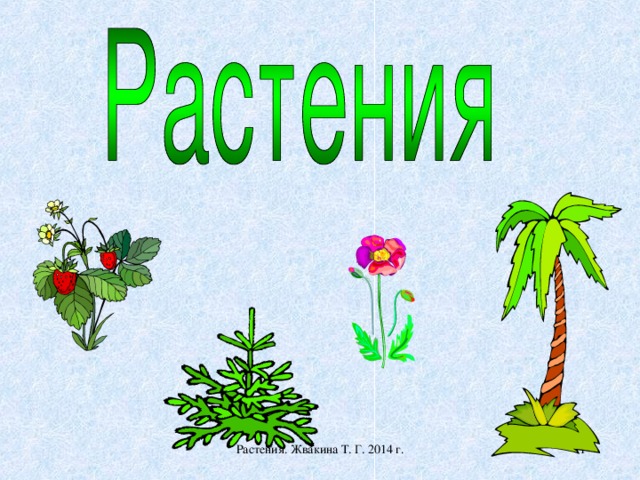 Окружающий мир цветы. Одежда на урок окружающего мира растение. Найди урок окружающего мира растения.