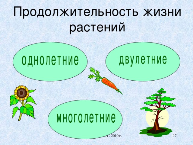 Схема продолжительности жизни