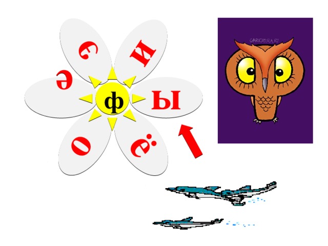 э о и е ё ф ы 