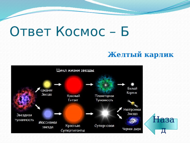 Ответ Космос – Б Желтый карлик Назад 