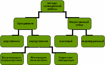 Современные методы селекции животных