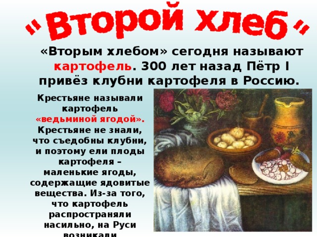 «Вторым хлебом» сегодня называют картофель . 300 лет назад Пётр I привёз клубни картофеля в Россию. Крестьяне называли картофель «ведьминой ягодой». Крестьяне не знали, что съедобны клубни, и поэтому ели плоды картофеля – маленькие ягоды, содержащие ядовитые вещества. Из-за того, что картофель распространяли насильно, на Руси возникали «картофельные бунты». 
