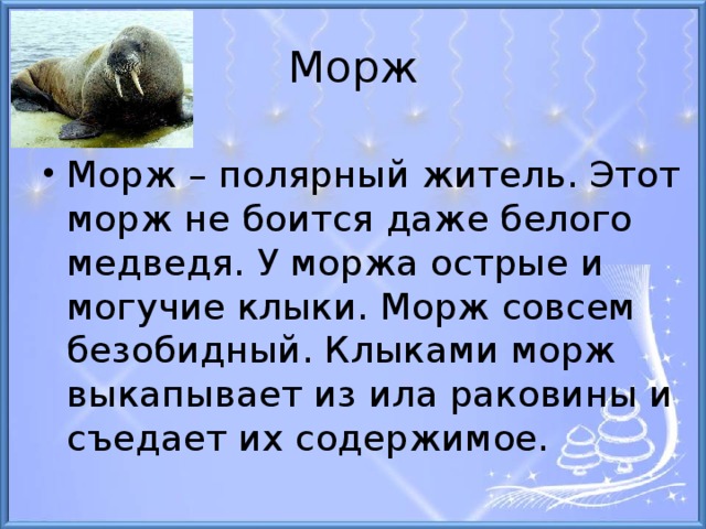 Презентация про моржа