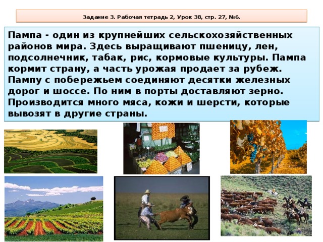 Задание 3. Рабочая тетрадь 2, Урок 38, стр. 27, №6. Пампа - один из крупнейших сельскохозяйственных районов мира. Здесь выращивают пшеницу, лен, подсолнечник, табак, рис, кормовые культуры. Пампа кормит страну, а часть урожая продает за рубеж. Пампу с побережьем соединяют десятки железных дорог и шоссе. По ним в порты доставляют зерно. Производится много мяса, кожи и шерсти, которые вывозят в другие страны.