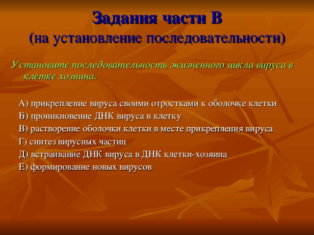 Последовательность жизненного