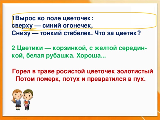 1 Вырос во поле цветочек: сверху — синий огонечек, Снизу — тонкий стебелек. Что за цветик?  2 Цветики — корзинкой, с желтой середин-кой, белая рубашка. Хороша...        Горел в траве росистой цветочек золотистый  Потом померк, потух и превратился в пух. 