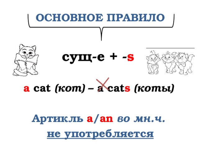 ОСНОВНОЕ ПРАВИЛО    cущ-е + - s   a cat (кот) – а cat s  (коты)  Артикль a / an  во мн.ч. не употребляется 