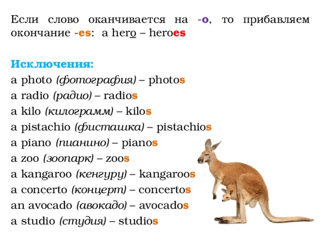 Если слово оканчивается на - о , то прибавляем окончание - es : a her o – hero es   Исключения: a photo (фотография) – photo s      a radio (радио) – radio s     a kilo (килограмм) – kilo s       a pistachio (фисташка) – pistachio s a piano (пианино) – piano s       a zoo (зоопарк) – zoo s a kangaroo (кенгуру) – kangaroo s      a concerto (концерт) – concerto s an avocado (авокадо) – avocado s      a studio (студия) – studio s 