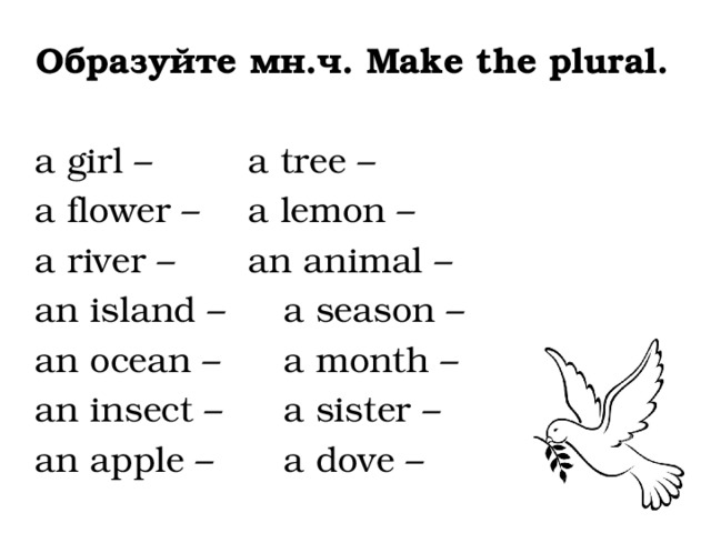 Образуйте мн.ч. Make the plural.  a girl –    a tree –   a flower –   a lemon – a river –    an animal –   an island –   a season – an ocean –   a month – an insect –   a sister – an apple –   a dove – 