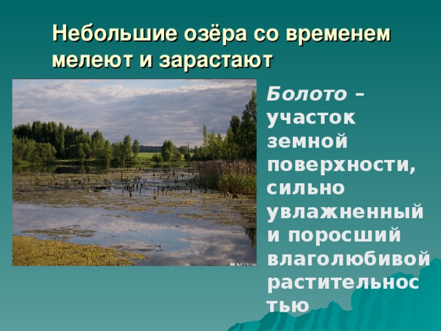 Небольшие озёра со временем мелеют и зарастают Болото – участок земной поверхности, сильно увлажненный и поросший влаголюбивой растительностью 