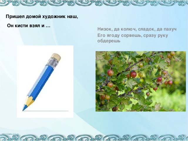 Пришел домой художник наш,  Он кисти взял и …   Низок, да колюч, сладок, да пахуч Его ягоду сорвешь, сразу руку обдерешь    