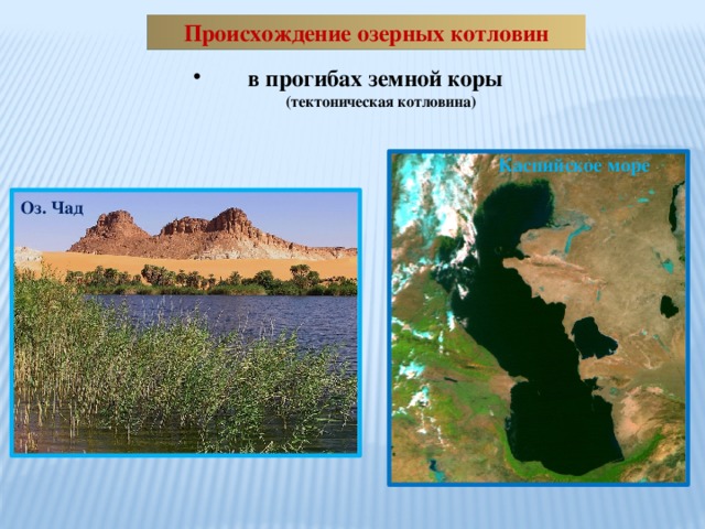 Какое озеро по происхождению котловины показано на рисунке